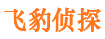 汉寿市私家侦探公司